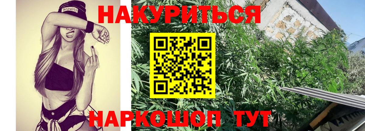 Бошки Шишки тримм  МАРИХУАНА сатива  Мытищи  Марихуана MAZAR  Вход с VPN 